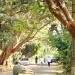 The Roads... in Bangalore