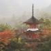 Dreamy pagoda