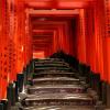 Mysterious path...