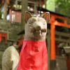 In between torii...