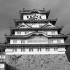 The dark castle