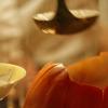 Pumpkin soup